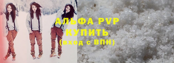 стафф Алзамай