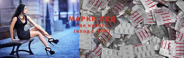 прущие грибы Алексеевка
